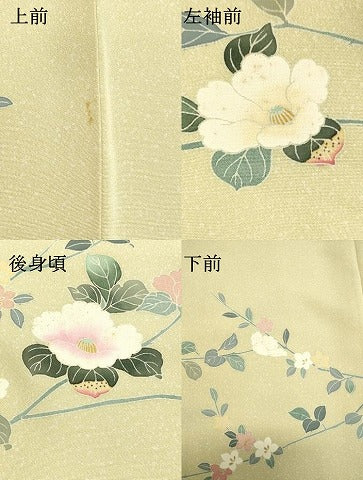 平和屋着物●訪問着 友禅 枝花文 暈し染め 正絹 逸品 DAAS2075tw