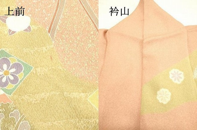 平和屋着物○訪問着 駒刺繍 立涌花文 金彩 正絹 逸品 DAAS2119tw