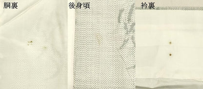 平和屋着物●本場大島紬 7マルキ 草花丸文 正絹 逸品 DAAS2120tw