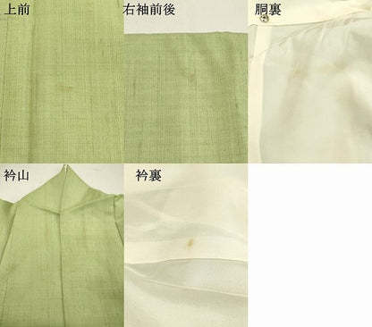 平和屋着物●上質な紬 夏虫色 正絹 逸品 DAAS2200tw