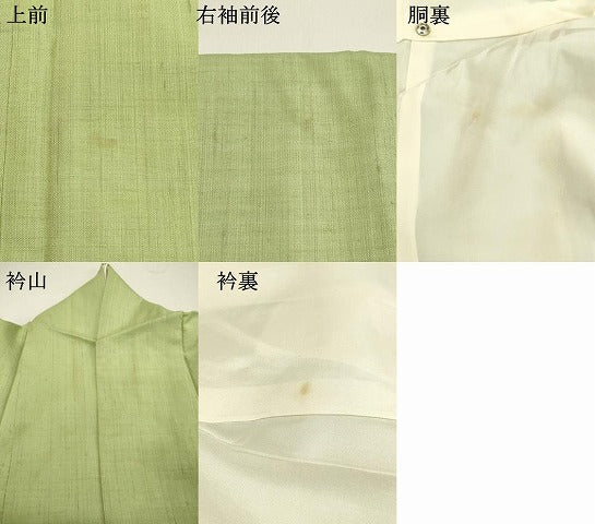 平和屋着物●上質な紬 夏虫色 正絹 逸品 DAAS2200tw