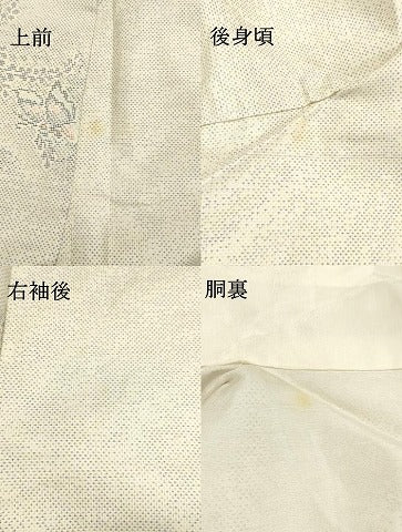 平和屋着物●本場大島紬 白大島 9マルキ 舞蝶草葉文 正絹 逸品 未使用 DAAS2380tw