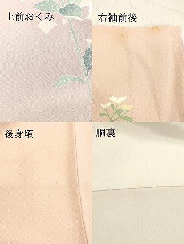 平和屋着物●訪問着 友禅 草花文 暈し染め 正絹 逸品 DAAS2430tw