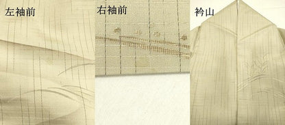 平和屋着物●訪問着　紬地　流水群れ鳥文　正絹　逸品　DAAS2517tw