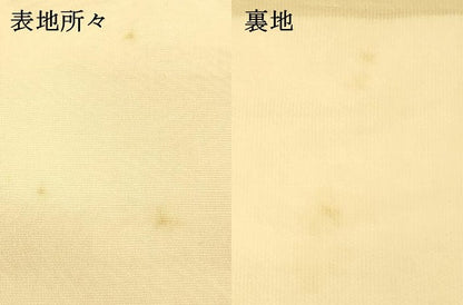 平和屋着物＊夏物　六通柄袋帯　唐織　花鳥文　金銀糸　正絹　逸品　DAAS2917cm