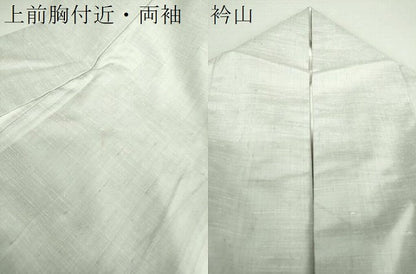 平和屋着物●訪問着　紬地　魚　間道　海老　鯛　河豚　蟹　正絹　逸品　DAAS3032ps