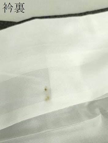 平和屋着物●結城紬 奥順 はたおり娘 手緒里 80亀甲 立涌花文 証紙付き 正絹 逸品 DAAS3248ps