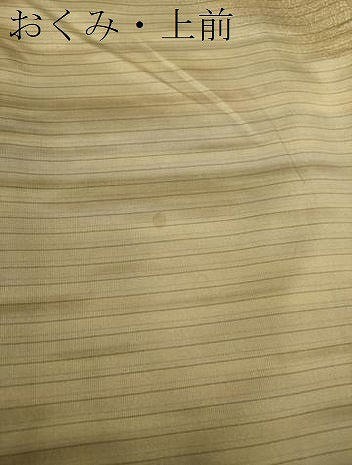 平和屋着物●本場染大島紬 訪問着 段霞文 ますいわ屋扱い 正絹 逸品 DAAS3327ps