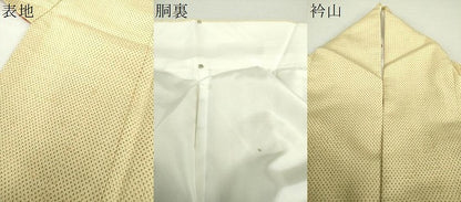 平和屋着物●本塩沢 蚊絣 正絹 逸品 DAAS3482ps