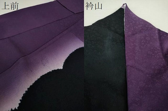 平和屋着物●絞り染色作家 藤井浩 アトリエフジコー 訪問着 雪輪 花唐草地紋 暈し染め 正絹 逸品 DAAS3807ps