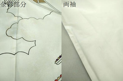 平和屋着物●本場染大島紬　訪問着　手描き　雲取り風景　金彩　正絹　逸品　DAAS3813ps