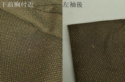 平和屋着物●訪問着　お召地　風景文　暈し染め　正絹　逸品　DAAS3877ps