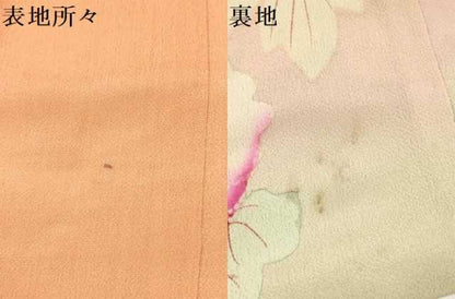 平和屋着物[]アンティーク　大正ロマン　お宮参り　女の子　祝着　産着　初着　のしめ　飛鶴牡丹文　暈し染め　逸品　DAAS9173ma