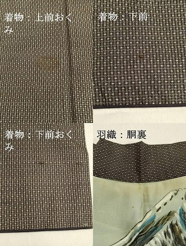 平和屋着物●男性　本場染大島紬　アンサンブル　亀甲柄　証紙付き　正絹　逸品　DAAT1051tw