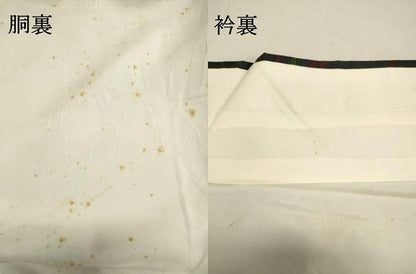 平和屋着物●本場大島紬　7マルキ　舞蝶文　正絹　逸品　DAAT1424tw