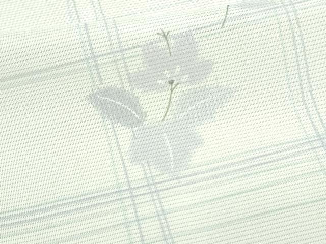平和屋着物＊夏物 小紋 絽 草花文 洗える着物 DAAQ4541sfm