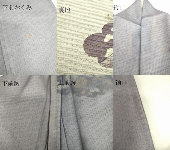 平和屋着物▽訪問着 無双 紗袷 紗×紋紗 雲取り花文 金彩 正絹 逸品 DAAT9003az