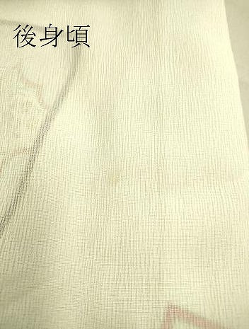 平和屋着物▽訪問着 無双 紗袷 紋紗×絽 色紙重ね花文 正絹 逸品 DAAT9336az