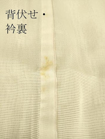 平和屋着物▽訪問着 無双 紗袷 紋紗×絽 草葉文 正絹 逸品 DAAT9509az