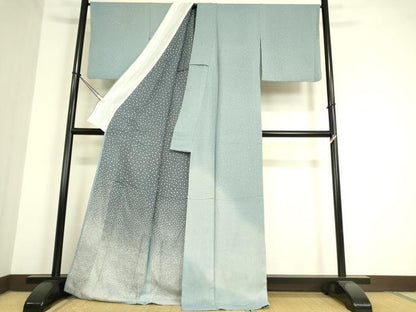 平和屋着物▽訪問着 無双 紗袷 紗×絽 箔散らし 暈し染め 正絹 逸品 DAAT9514az