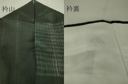 平和屋着物▽本場縞大島紬 単衣 絞り 横段絣文 大山謹製 証紙付き 正絹 逸品 DAAT9714az