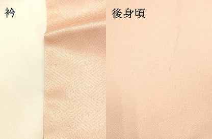 平和屋着物●訪問着　刺繍　枝花文　暈し染め　金銀彩　正絹　逸品　DAAU0526tw