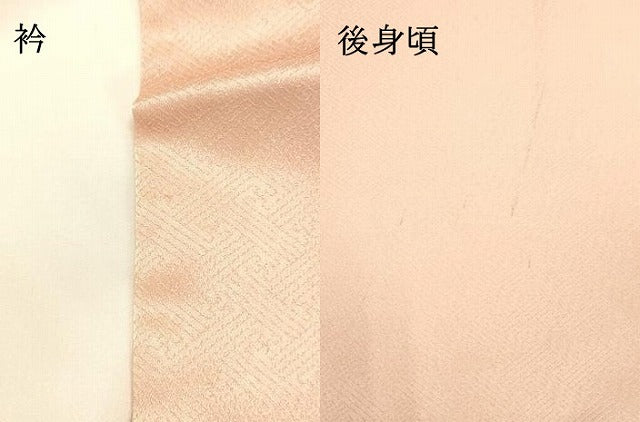 平和屋着物●訪問着　刺繍　枝花文　暈し染め　金銀彩　正絹　逸品　DAAU0526tw