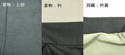 平和屋着物●男性 本場大島紬 アンサンブル 120亀甲 総詰め 正絹 逸品 DAAU0527tw