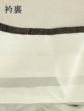 平和屋着物●本場大島紬 7マルキ 草花文 正絹 逸品 未使用 DAAU0668tw