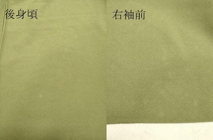 平和屋着物●訪問着　流水草花文　金銀彩　正絹　逸品　DAAU0714tw