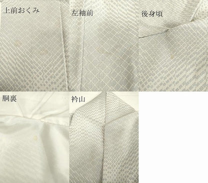 平和屋着物●上質なお召 幾何学文様 正絹 逸品 DAAU0848tw