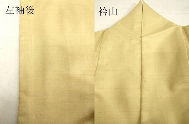 平和屋着物●色留訪問着 紬地 雲文 金糸 正絹 逸品 DAAU0863tw