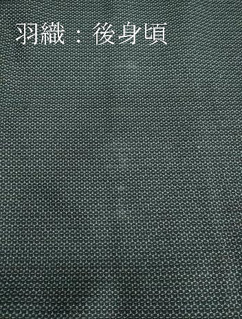 平和屋着物●男性　紬　アンサンブル　120亀甲　正絹　逸品　DAAU0892tw