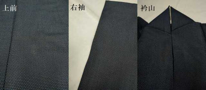 平和屋着物▽本塩沢 単衣 蚊絣 正絹 逸品 DAAU3779du