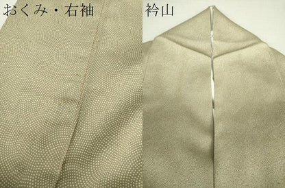 平和屋着物●江戸小紋 鮫小紋柄 正絹 逸品 DAAU5205ps