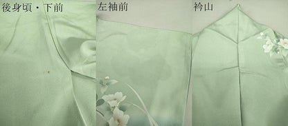 平和屋着物●訪問着 舞蝶花文 暈し染め 正絹 逸品 DAAU5232ps