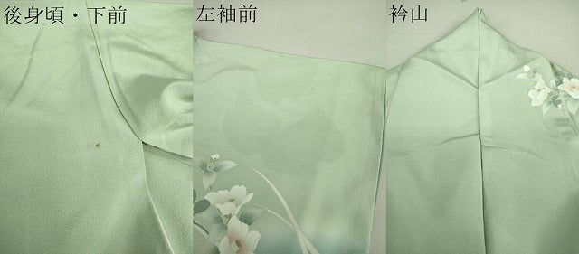 平和屋着物●訪問着 舞蝶花文 暈し染め 正絹 逸品 DAAU5232ps
