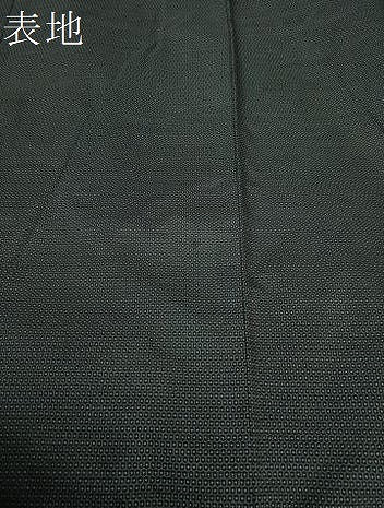 平和屋着物●男性 本場大島紬 100亀甲 総詰め 正絹 逸品 DAAU5262ps