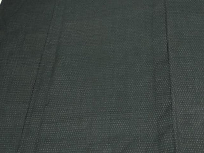 平和屋着物＊夏物 男性 お召 紗 蚊絣 正絹 逸品 DAAU6420sf