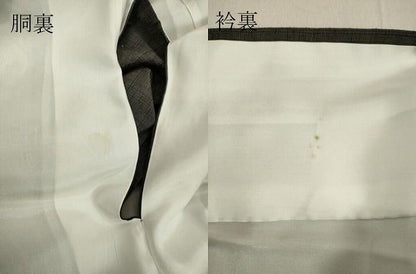 平和屋着物●上質な紬　100亀甲　舞桜間道　正絹　逸品　DAAV1451tw