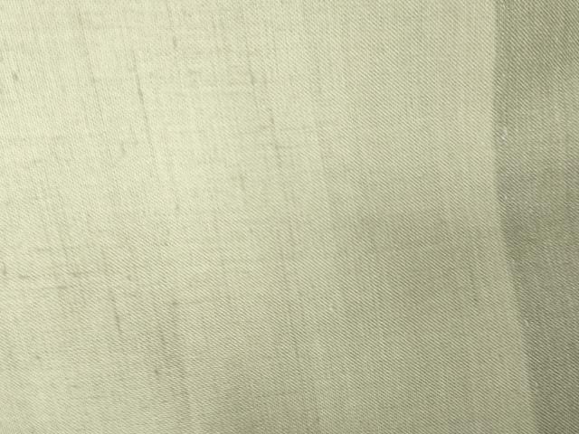平和屋着物＊夏物 紗紬 山葵色 正絹 逸品 DAAV1627op