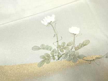 平和屋着物▽訪問着 単衣 手描き 花鳥文 金彩 正絹 逸品 未使用 DAAV3116du