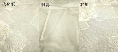 平和屋着物●本場大島紬 白大島 120亀甲 松皮菱花文 正絹 逸品 DAAV3248du