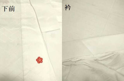 平和屋着物●洗える最高級着物　＜英＞はなぶさ謹製　長襦袢　無双仕立て　舞花文　たとう紙付き　洗える着物　DAAV3260du