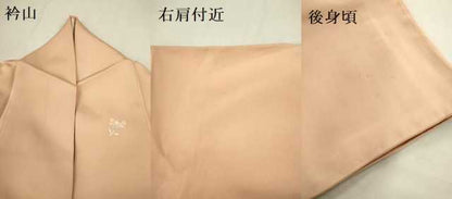 平和屋着物●訪問着 駒刺繍 正倉院花文 金彩 正絹 逸品 DAAV3345du