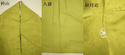 平和屋着物●上質な色無地　吉祥地紋　菜種油色　正絹　逸品　DAAV3370du
