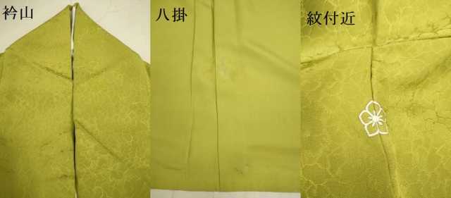 平和屋着物●上質な色無地　吉祥地紋　菜種油色　正絹　逸品　DAAV3370du