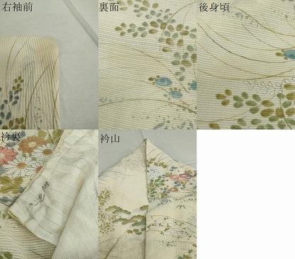 平和屋着物＊夏物　小紋　絽　風景草花文　正絹　逸品　DAAV4273ud