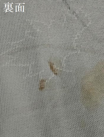 平和屋着物▽訪問着 単衣 紗袷 紗×紗 草花文 正絹 逸品 DAAV4455ud