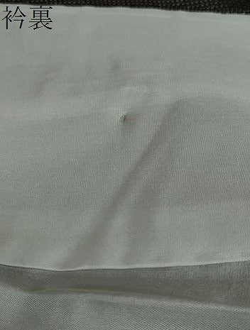 平和屋着物●本場大島紬　9マルキ　草花文　正絹　逸品　未使用　DAAV4875ud